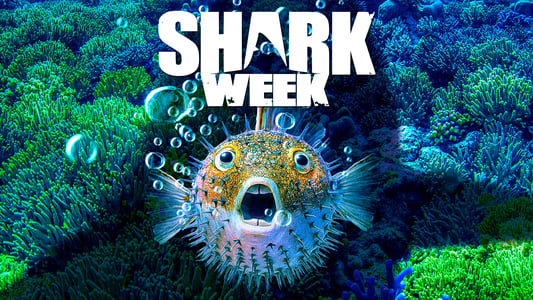 Shark Week