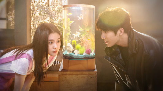 陷入我们的热恋