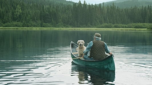 Il pleuvait des oiseaux