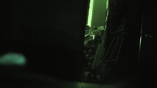 Невольный вор