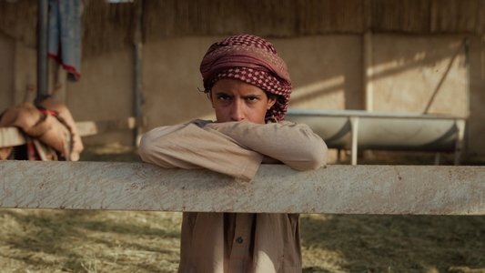 هجّان