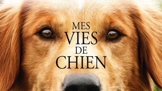 A Dog's Purpose