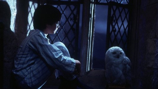 Harry Potter and the Philosopher's Stone