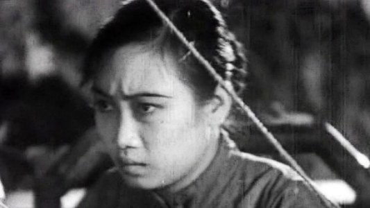 姊妹花