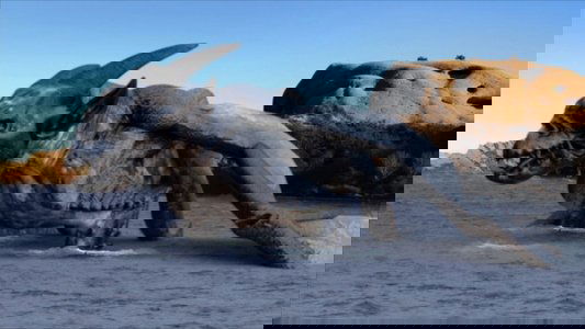 Alien Convergence