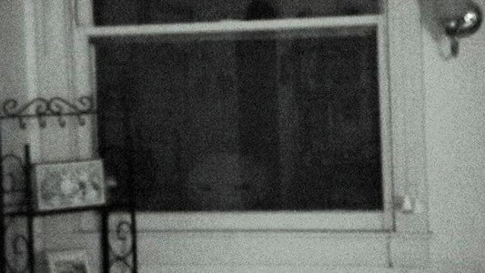 Extraordinary: The Stan Romanek Story