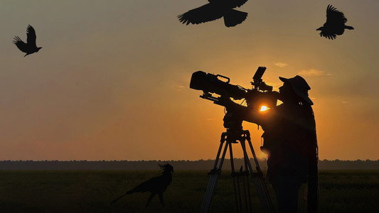 Hamza: Birds of Prey