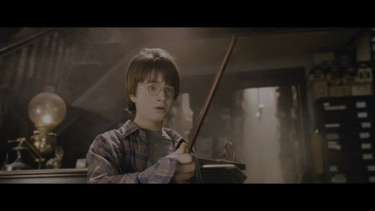 Harry Potter and the Philosopher's Stone