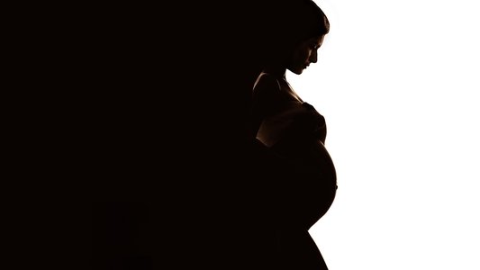 Secret Life of a Celebrity Surrogate