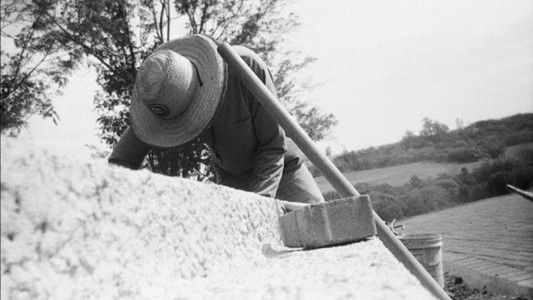 INTERVENÇÕES E INTERFERÊNCIAS