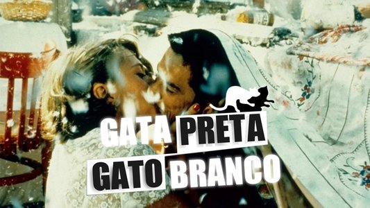 Crna mačka, beli mačor