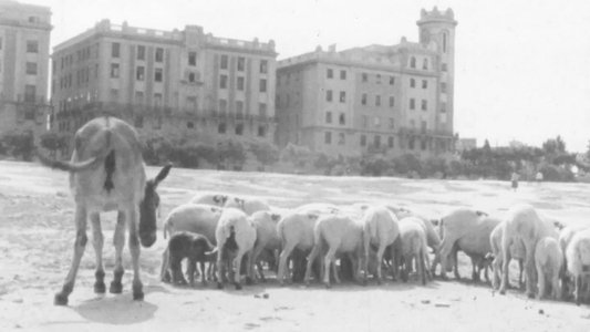 La primera mirada: historia de una escuela de cine