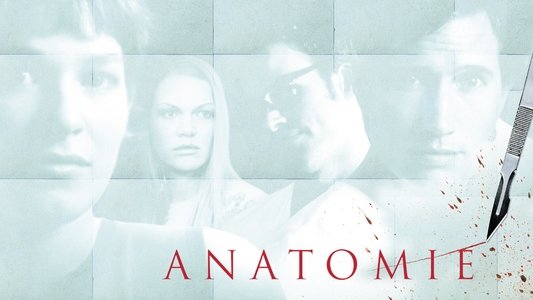 Anatomie