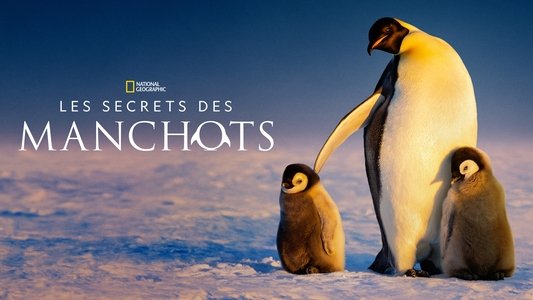Secrets of the Penguins