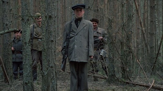 Иди и смотри