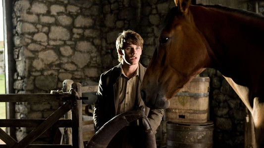 War Horse