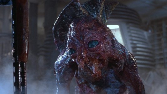 The Fly