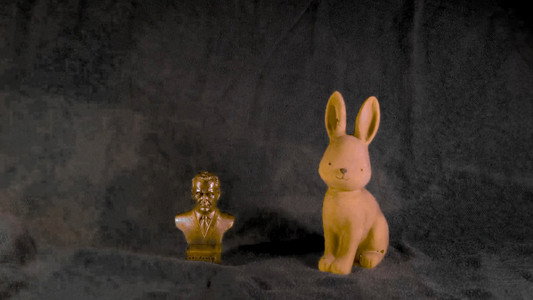Tito and Rabbit