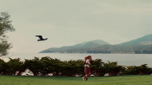 The Proposal