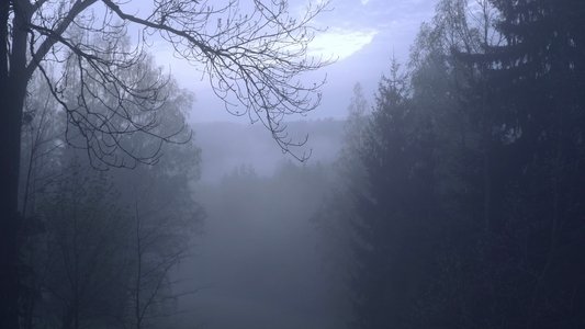 Zvěř
