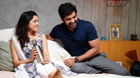 కృష్ణ వ్రింద విహారి