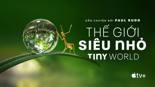 Tiny World