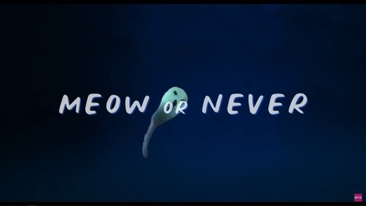 Meow or Never
