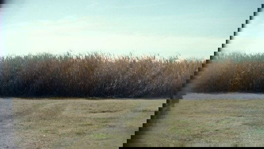 10 Cloverfield Lane