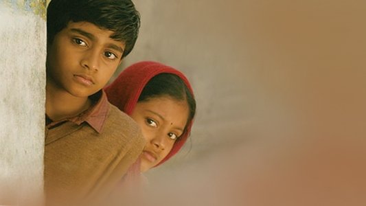 அக்கா குருவி