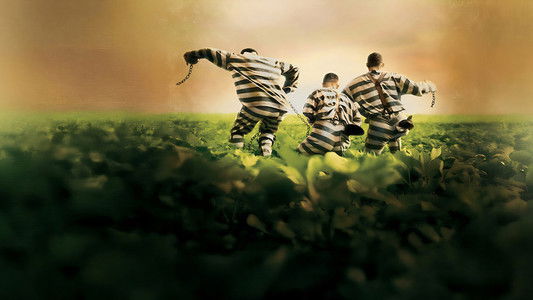 O Brother, Where Art Thou?