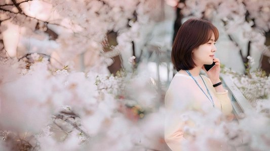 봄밤