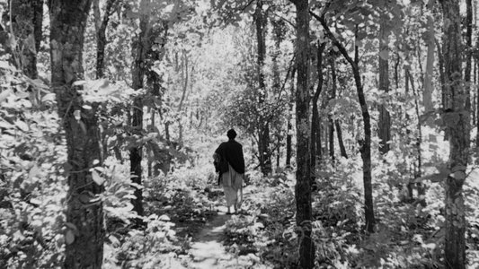 অপুর সংসার