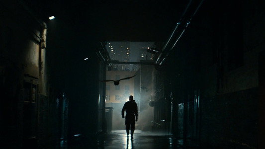 The Crow