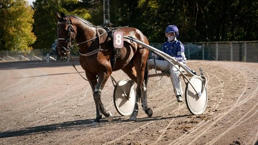 2 unter Millionen