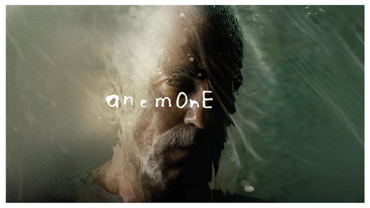 Anemone