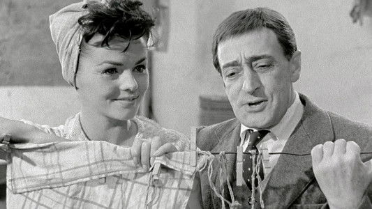 Dov'è la libertà...?