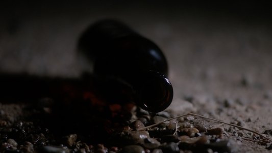 Our Shadow