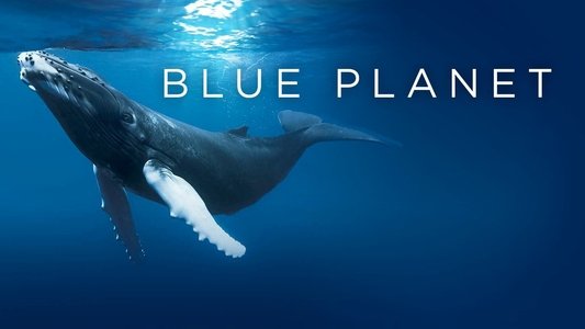 The Blue Planet
