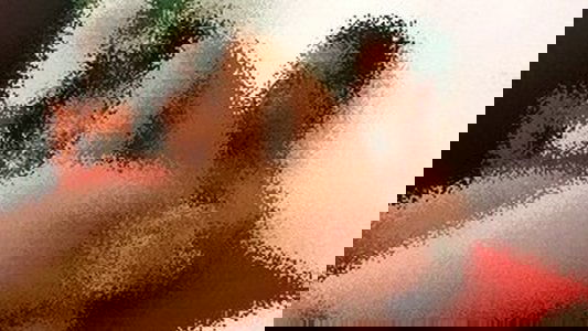Transsexual Penetrator 2