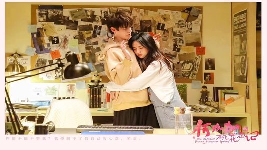 何加加的桃花源记