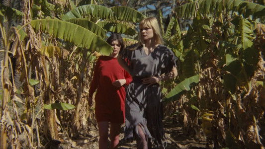 L'Oasis des filles perdues