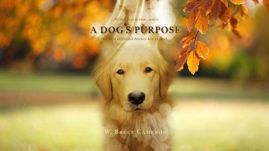 A Dog's Purpose