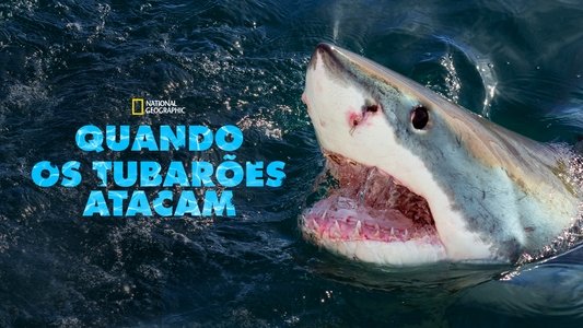 When Sharks Attack