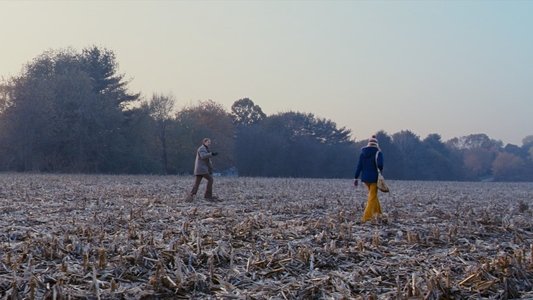 The Lovely Bones
