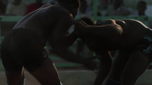 Rise of the Black Pharaohs