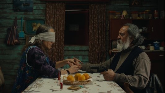 La misteriosa mirada del flamenco