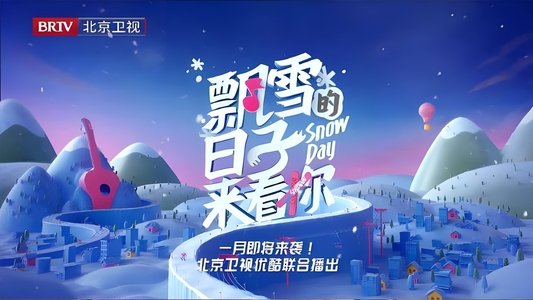 飘雪的日子来看你