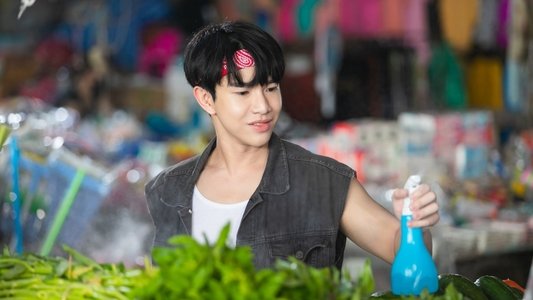 บ้านชายมอง
