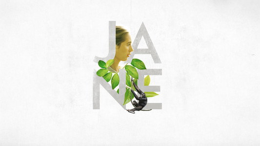 Jane