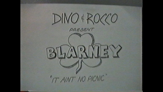 Blarney - It Ain't No Picnic